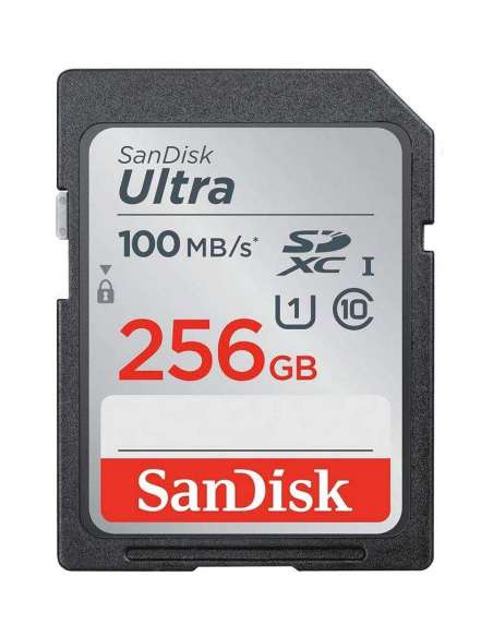 SanDisk Ultra 256Go SDHC Carte Mémoire allant jusqu'à 100MB/s, Class 10 UHS-I - 619659178222 - Stockizi